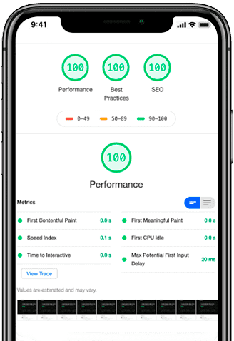 PageSpeed 100/100